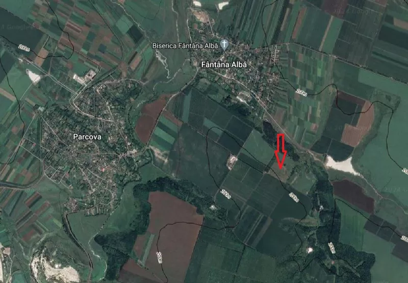 Livada de nuci de vanzare – Satul Parcova, Raionul Edinet, 4.37 ha 3